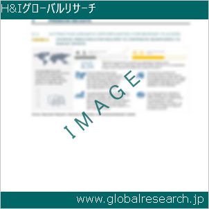 グローバルリサーチ調査レポートのイメージ